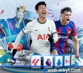 五大服务分区,信息按项目分类 | c7c7.app
